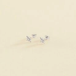 Boucles D'oreilles Puces OURSE - Cristal / Argenté