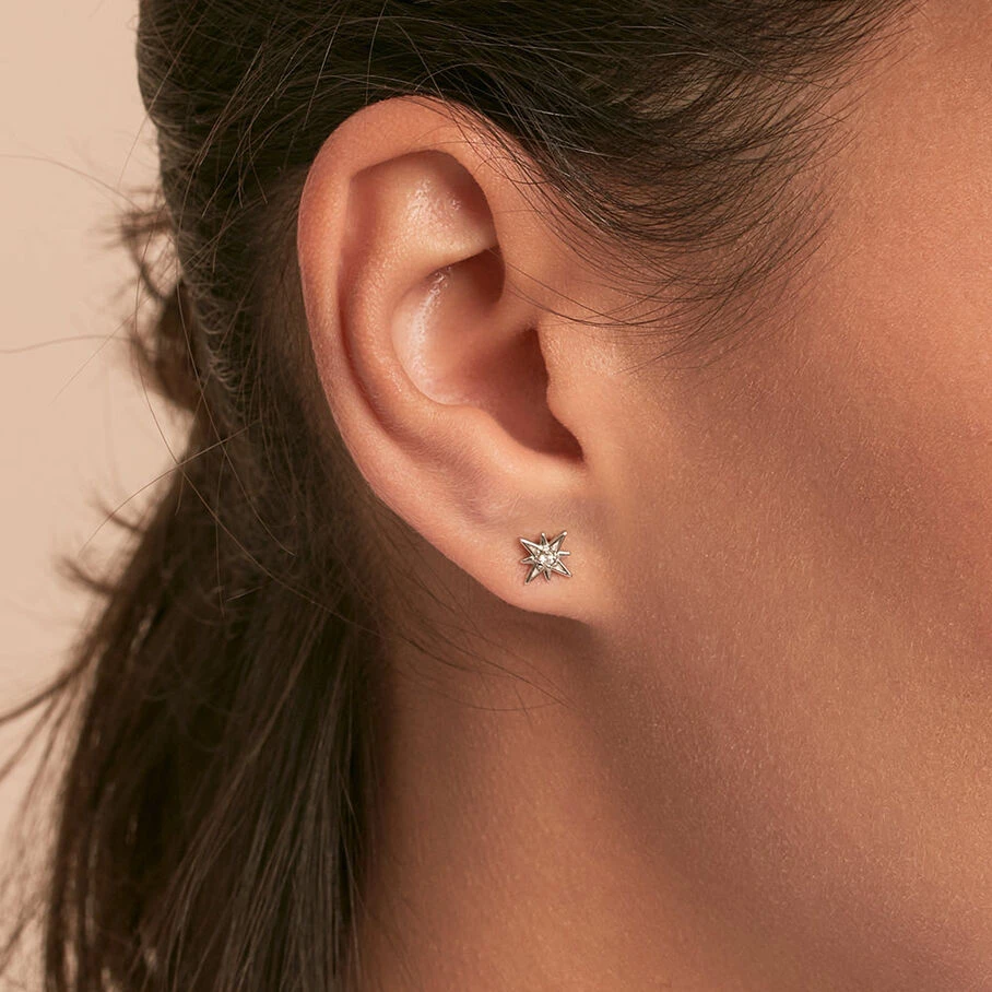 Boucles D'oreilles Puces OURSE - Cristal / Argenté 2 Boucles D'oreilles Puces OURSE - Cristal / Argenté – Image 2