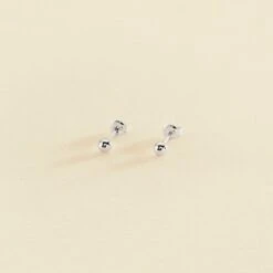 Boucles D'oreilles Puces BOUL - Argenté